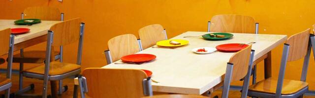 Predškolska ustanova Zrenjanin ima više zaposlenih na određeno nego što to zakon dozvoljava