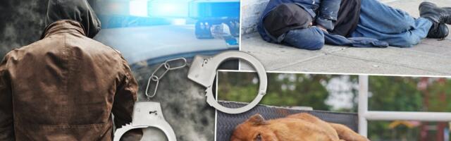 Neviđena brutalnost: Razbojnik uništio "audi", pretukao dvoje ljudi a zatim išutirao psa