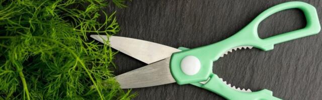 Znate li čemu služi zupčasti deo na kuhinjskim makazama? Mnogi ga ne koriste, a rešava brdo stvari