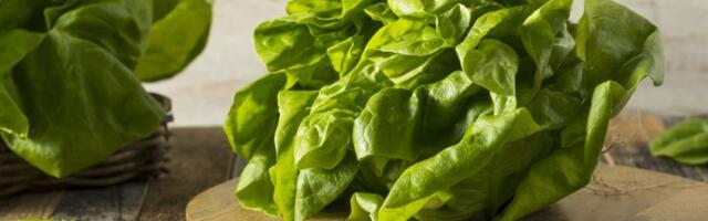 Zelena salata čini čuda: Topi kilograme, čuva vid i pojačava memoriju - jedite je svaki dan