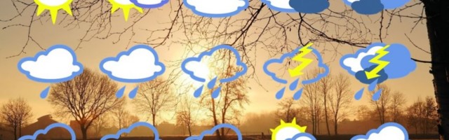 Zbogom proleću u decembru! Danas kišovito i hladnije: Pročitajte kakvo vreme nas očekuje tokom vikenda!