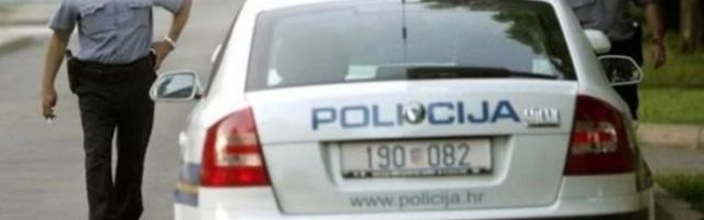 PRVO IZAZVALA SAOBRAĆAJNU NESREĆU, A ONDA SE NAMERAČILA NA POLICAJCE! Jednog ugrizla za nogu, A DRUGOG ŠUTNULA U GLAVU!