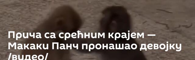 Прича са срећним крајем — Макаки Панч пронашао девојку /видео/