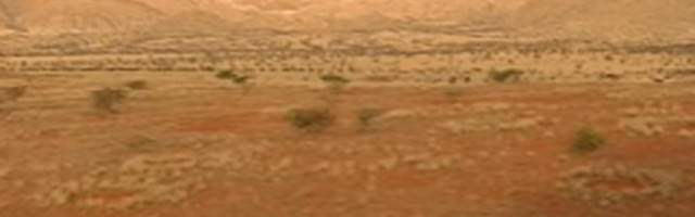 Naučnici konačno mogu da objasne "čarobne krugove" Namibije