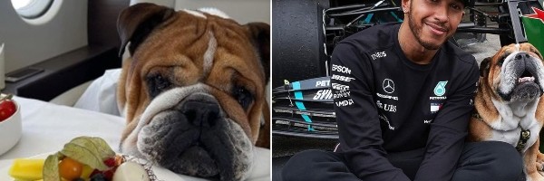 Luis Hamilton potvrđuje da više nije normalan čovek
