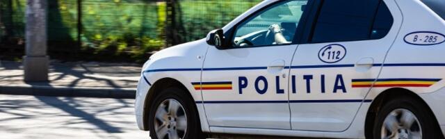 Minibus upao u Dunav