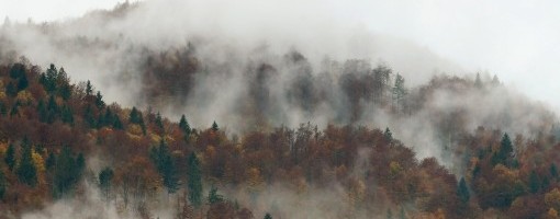 AMSS: Smanjena vidljivost na putevima pored reka i kanala zbog magle i sumaglice