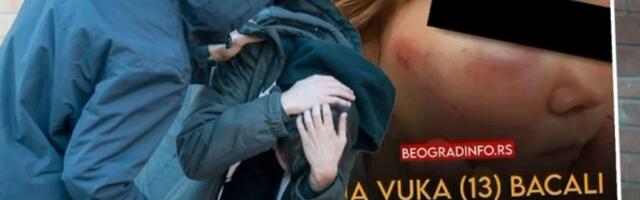 VUK JE HTEO DA SE DRUŽI SA NJIMA, A ONI GA POVREDILI! Teror blokadera tinejdžera šokirao je naciju!