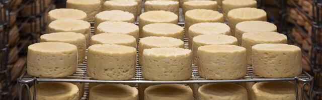 Ministar upozorio na ilegalni uvoz sira: Proizvođači mleka pitaju šta rade nadležne službe