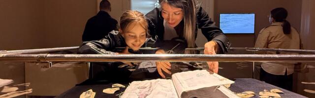 Otvorena izložba Željke Mićanović Miljković: „Svetli i strašni gradovi“ u X Vitamin galeriji