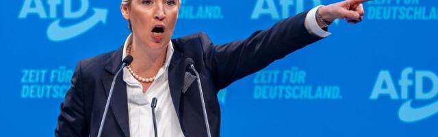 AfD zloupotrebljava poslanička pitanja radi zastrašivanja?