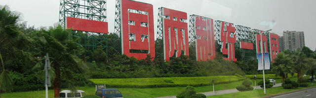 Pogled tigra u doba neizvesnosti