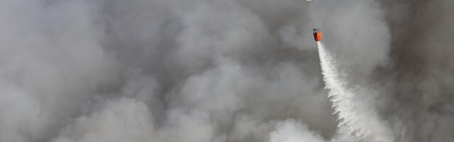 Dok Kineski tržni centar gori, Šapić se češlja