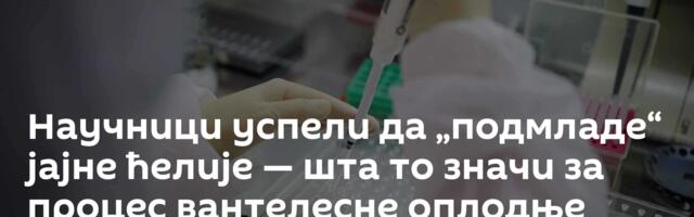 Научници успели да „подмладе“ јајне ћелије — шта то значи за процес вантелесне оплодње