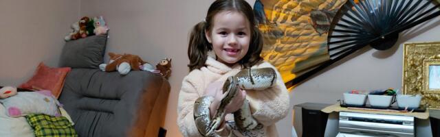 Vlasnici reptila u Kraljevu o nesvakidašnjoj vezi s egzotičnim ljubimcima