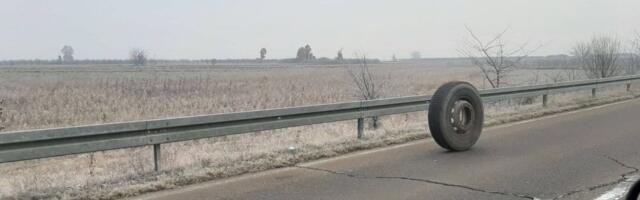 Žikina dinastija uživo kod Šapca: Snimak koji je zapalio internet!