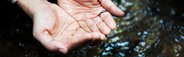 Нема опасности од изливања реке Дрине у подручју Зворника