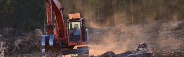 Zašto je ekološki kriminal najrašireniji, posle trgovine drogama i krijumčarenja ljudi?