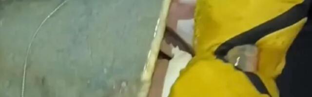 Srbin ulovio kapitalca od 65 kilograma u Španiji: "Srce je htelo da iskoči" (VIDEO)