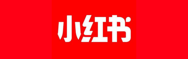 RedNote kao zamena za TikTok