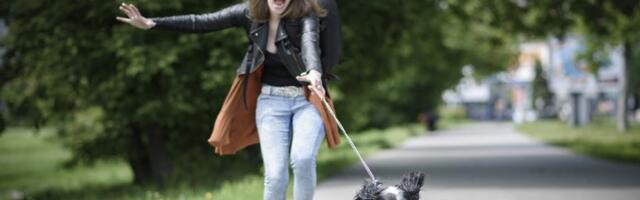 Držite ljubimca ovde? Preti vam kazna od 20.000