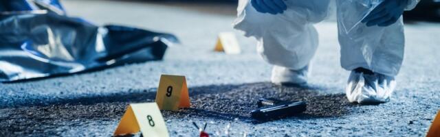 Bio ikona klana "Amerika", pa overen sa tri hica u glavu: Jeziva sličnost likvidacija Milenka Laskovića i Živka Bakića