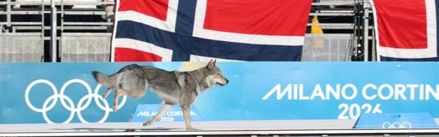 On je zaslužio olimpijsku medalju! Prošao kroz cilj, dobio ovacije, liči na vuka, a sad je postigao uspeh kao rođak