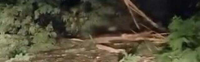GROM NAPRAVIO HAVARIJU KOD ČAČKA! Pregoreli kućni aparati i internet ruteri, jaka oluja pokidala dreveće (FOTO)(VIDEO)
