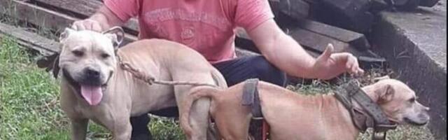 SRAMNA ODBRANA KRVNIKA IZ SMEDEREVA: Zlotavljao i mučio pse, a evo šta je izjavio na saslušanju!
