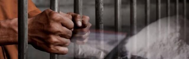 NARKO-BOS IZ NIŠA OSUĐEN U NEMAČKOJ! Suđenje trajalo sedam dana, njegovo pojavljivanje pred sudom pratila cela zemlja! ROSI ZALUDEO NEMCE!