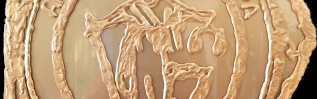 Miroslav Savić izabran za potpredsednika Advokatske komore za teritoriju Leskovca