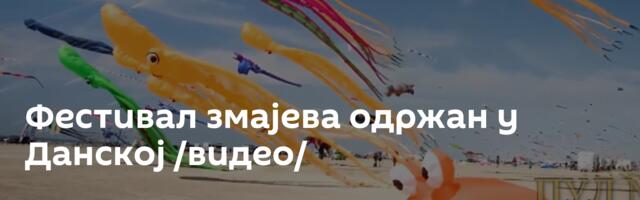 Фестивал змајева одржан у Данској /видео/