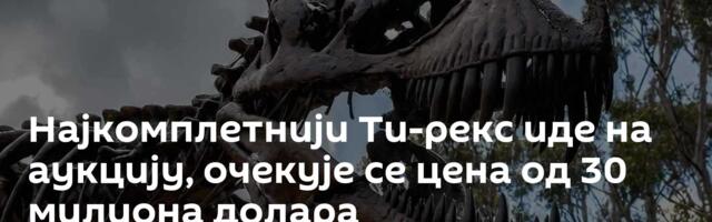 Најкомплетнији Ти-рекс иде на аукцију, очекује се цена од 30 милиона долара