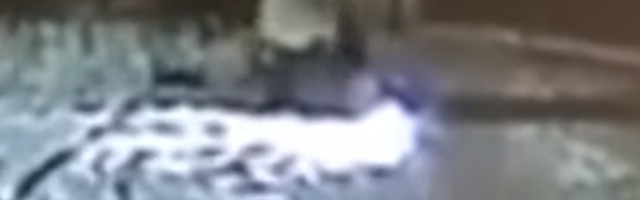 Kamere snimile okršaj seljaka i divlje zveri (VIDEO)