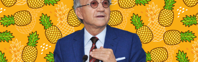 Deltin ‘Ananas’ unaprediće domaći e-commerce ne investicijom od €100 miliona, već brigom o korisnicima. Može li on to?