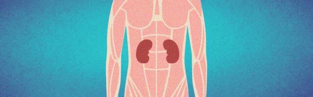 Rak bubrega: Bolest bez simptoma koja brzo napreduje