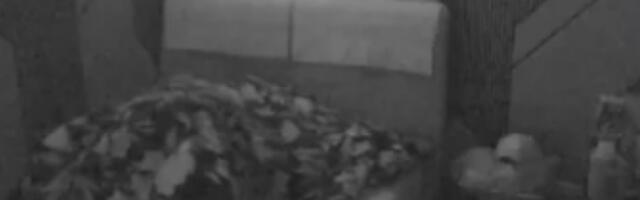 TRUDNA ANITA STANOJLOVIĆ DIVLJALA KAO POMAHNITALA ISPOD POKRIVAČA: Luka totalno van kontrole tokom vrele akcije!