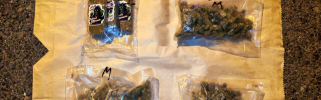 Uhapšen 21-godišnjak: Na auto-putu kod Aleksinca pronađeno oko 900 grama marihuane i hašiša