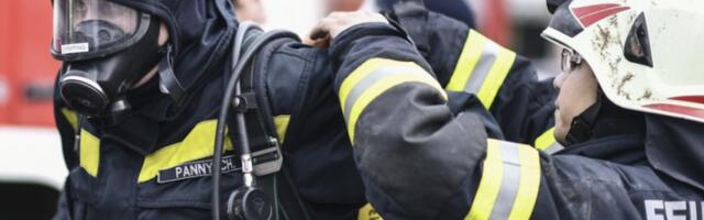 Пожар на фарми у Аустрији, страдало око 600 свиња