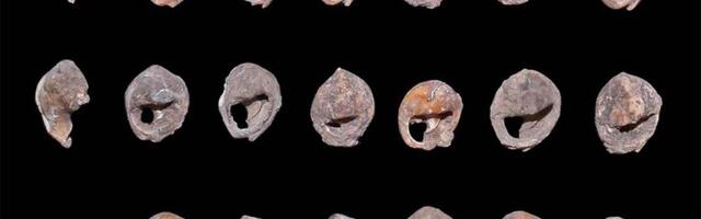 Najstariji nakit na svetu je upravo pronađen