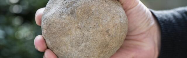 Drama na putu za Podgoricu: Pomahnitali čovek kamenicama gađao vozila, usledio opšti haos