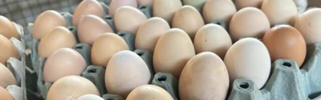 Potreban vam je samo sekund da proverite da li su jaja sveža pre farbanja: Brzinski test za bezbedno uživanje u Vaskrsu