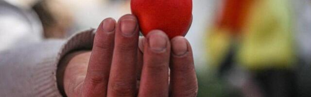 Ako vam se razbije čuvarkuća odmah ovo uradite: Srbi se najviše plaše ovoga, a evo kako možete ispraviti štetu