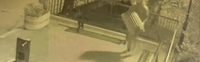 UNIŠTAVA, BACA, A DRUG GA BODRI?! Ali policija ga našla očas posla, stavljena tačka na sramne slike iz Ivanjice, poslata jasna poruka vandalima (FOTO)