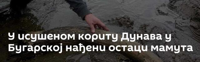 У исушеном кориту Дунава у Бугарској нађени остаци мамута
