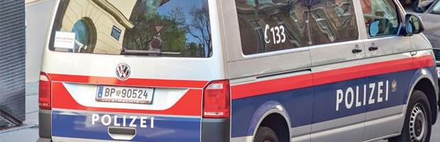 Srbima u Beču oduzeli decu: Dečaka uzeli iz škole, devojčicu iz vrtića - roditelji u agoniji već 6 meseci!