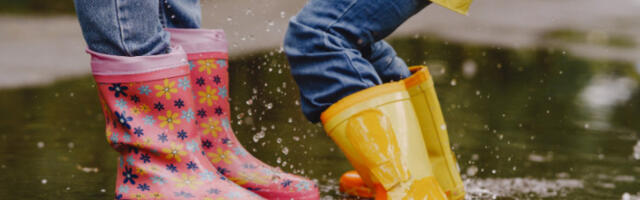 Сутра са слабом кишом праћеном олујним налетима кошаве