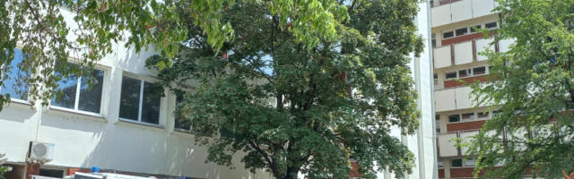 Oglasio se kolektiv čačanske bolnice: Svojevrsni linč i targetiranje zaposlenih ugrožavaju rad ustanove