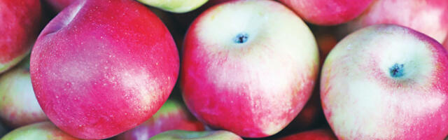 Велике залихе јабука и код нас и у Европи