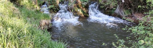 Izletište Vidrište kod Miljkovca: Legende o skrivenom blagu i netaknuta priroda